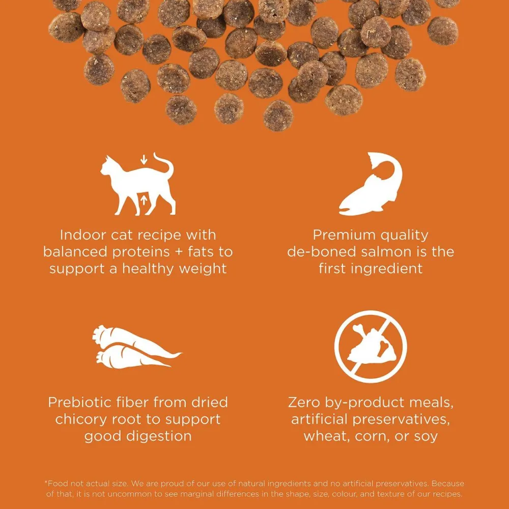 Sale Skin + Coat Care Grain Free Salmon Recipe for cats Dry Food Dry Cat Food