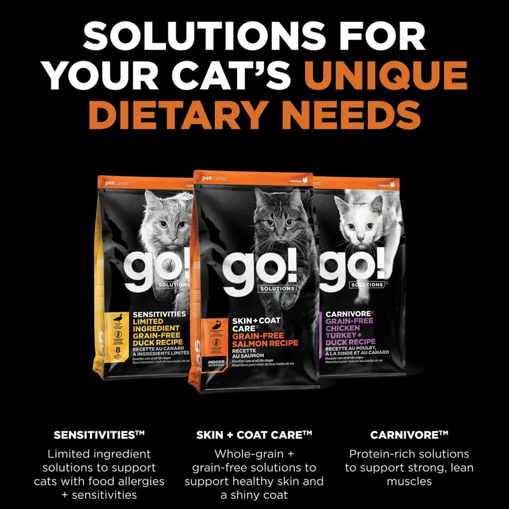 Sale Skin + Coat Care Grain Free Salmon Recipe for cats Dry Food Dry Cat Food
