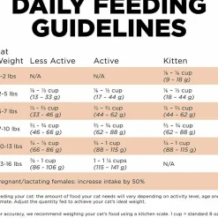 Sale Skin + Coat Care Grain Free Salmon Recipe for cats Dry Food Dry Cat Food