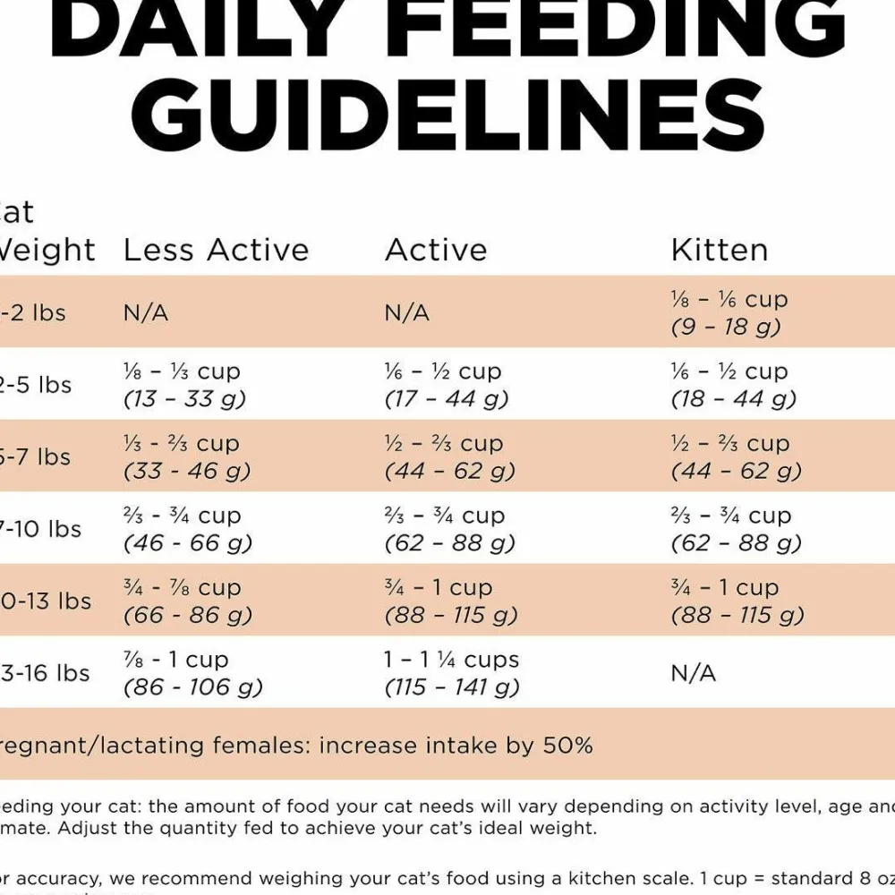 Sale Skin + Coat Care Grain Free Salmon Recipe for cats Dry Food Dry Cat Food