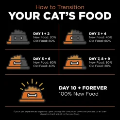Sale Skin + Coat Care Grain Free Salmon Recipe for cats Dry Food Dry Cat Food