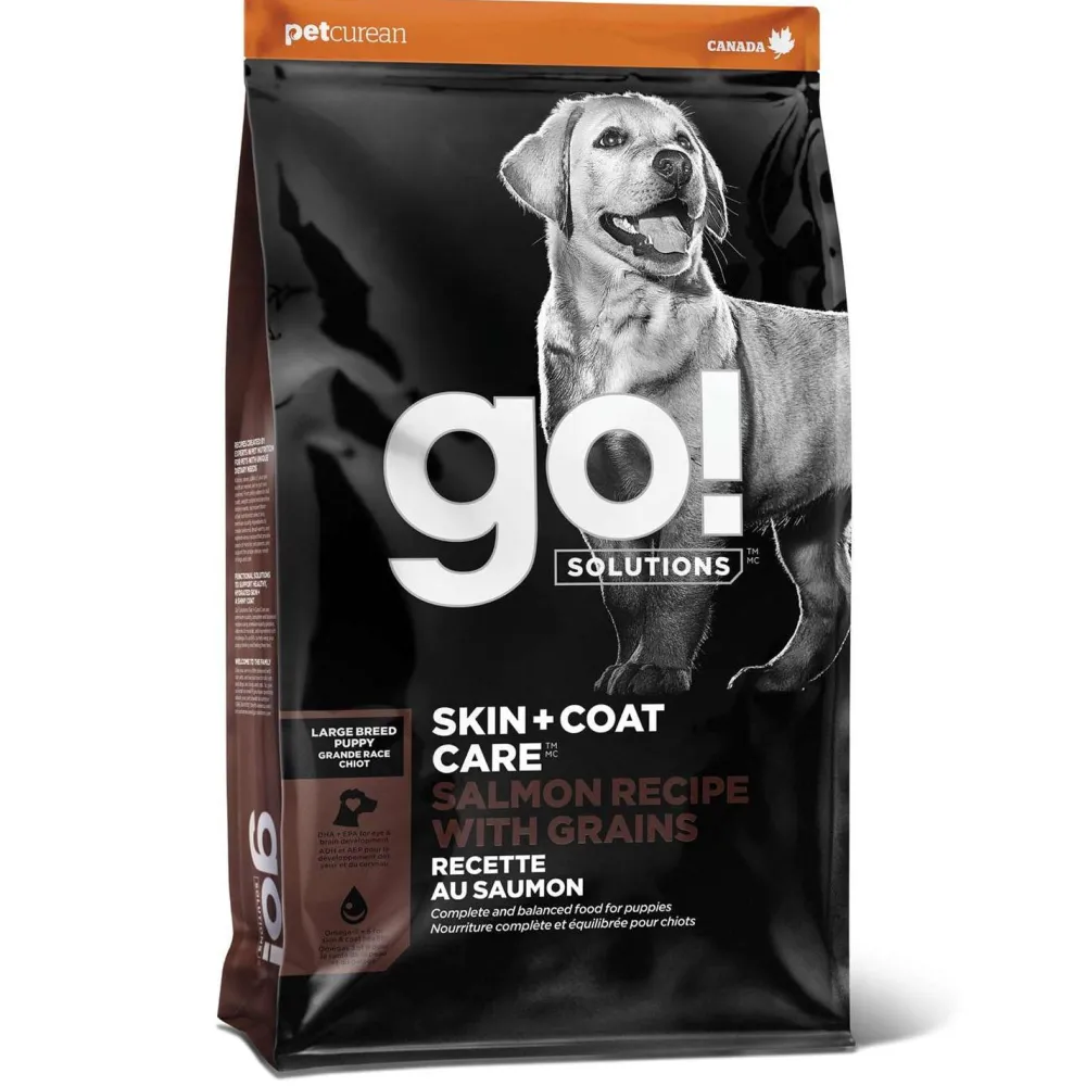 Fashion Skin + Coat Care Large Breed Puppy Salmon Recipe With Grains for dogs Food Dry, Wet, Freeze Dried, Etc.