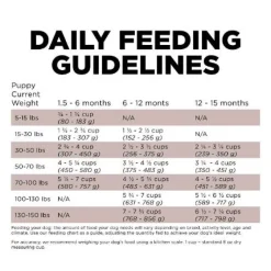 Fashion Skin + Coat Care Large Breed Puppy Salmon Recipe With Grains for dogs Food Dry, Wet, Freeze Dried, Etc.