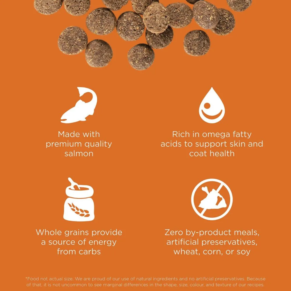Hot Skin + Coat Care Salmon Recipe With Grains for dogs Food Dry, Wet, Freeze Dried, Etc.