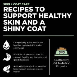 Fashion Skin + Coat Care Turkey Recipe With Grains for dogs Food Dry, Wet, Freeze Dried, Etc.