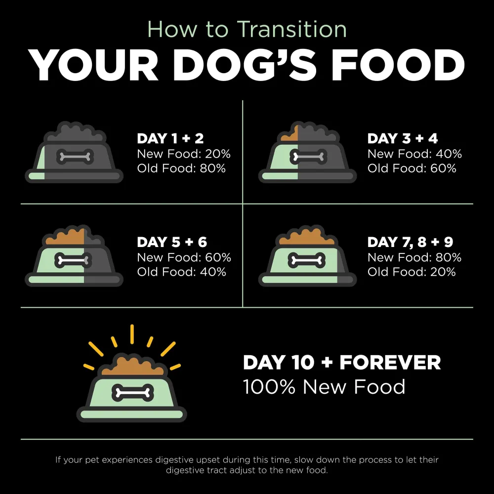 Fashion Skin + Coat Care Turkey Recipe With Grains for dogs Food Dry, Wet, Freeze Dried, Etc.