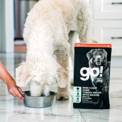 Fashion Skin + Coat Care Turkey Recipe With Grains for dogs Food Dry, Wet, Freeze Dried, Etc.