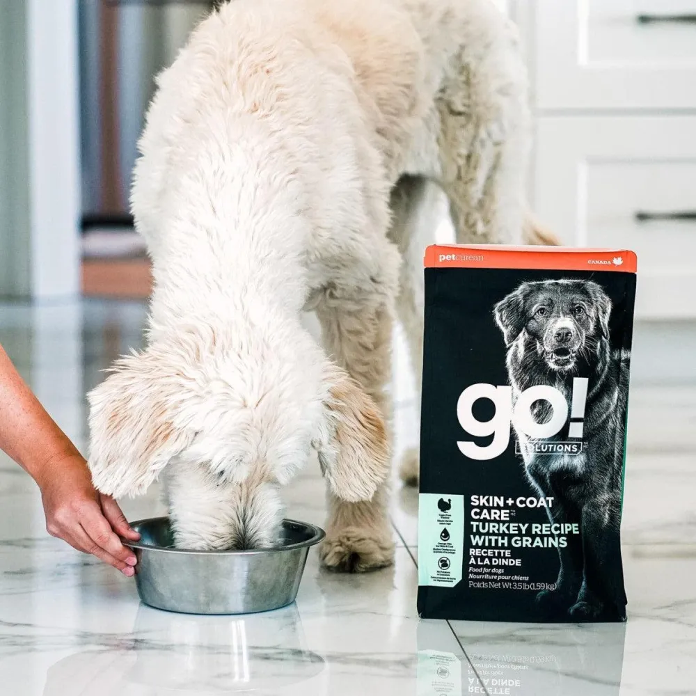 Fashion Skin + Coat Care Turkey Recipe With Grains for dogs Food Dry, Wet, Freeze Dried, Etc.