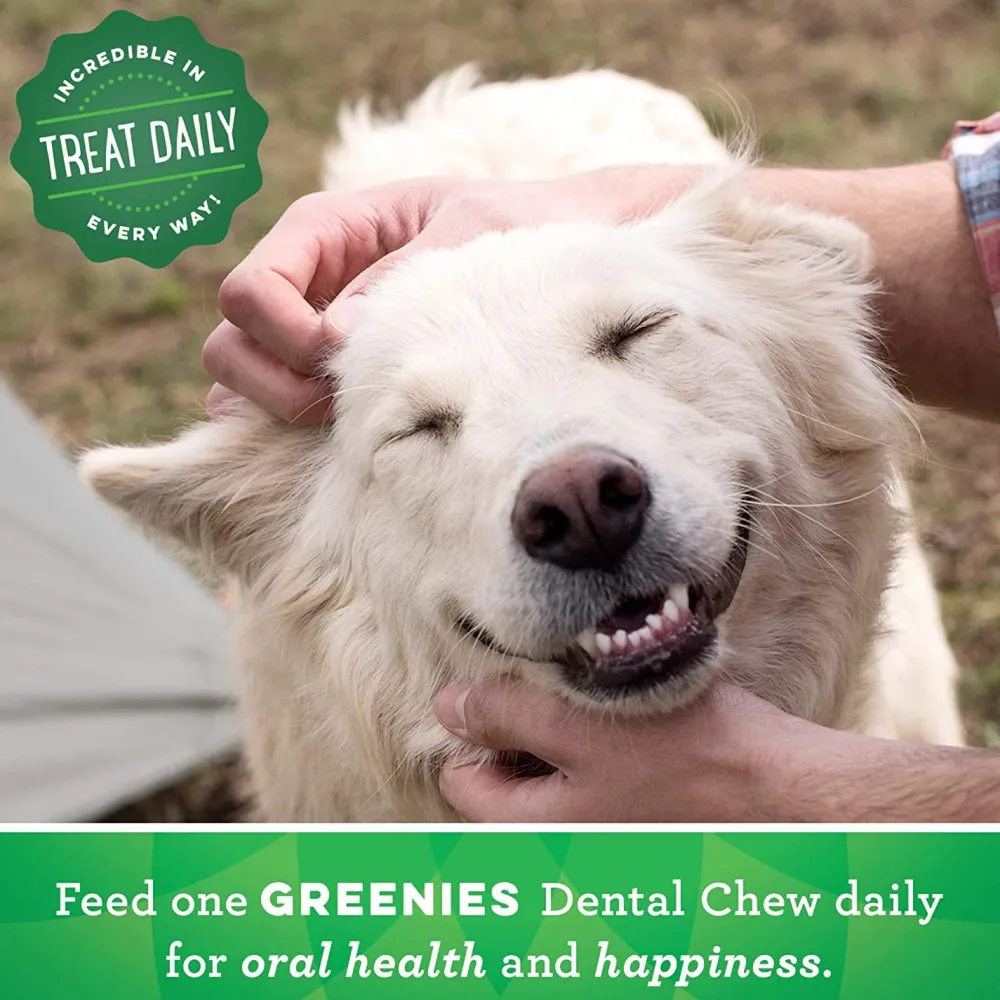 Hot Dental Treat Original Regular Treats Treats & Chews