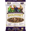 Outlet Hagen Gourmet Cockatiel Seed Mix Shop Bird Find All Of The Essentials