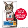 Hot Adult Oral Care cat food Dry Food Dry Cat Food