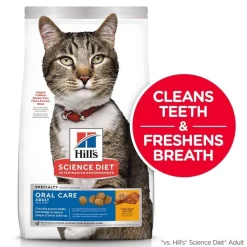 Hot Adult Oral Care cat food Dry Food Dry Cat Food