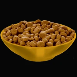 Fashion Adult Perfect Weight cat food Dry Food Dry Cat Food