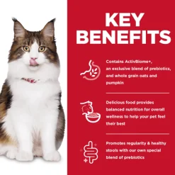 New Adult Perfect Digestion Chicken Cat Food Dry Food Dry Cat Food
