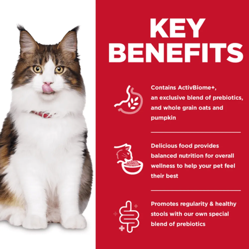 New Adult Perfect Digestion Chicken Cat Food Dry Food Dry Cat Food