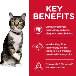 Hot Adult Oral Care cat food Dry Food Dry Cat Food
