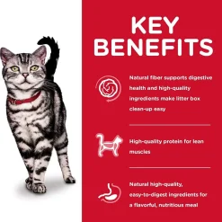 New Adult Indoor cat food Dry Food Dry Cat Food