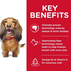 Online Adult Oral Care dog food Food Dry, Wet, Freeze Dried, Etc.