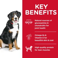 Best Adult Large Breed Dry Dog Food, Lamb Meal & Brown Rice Recipe Food Dry, Wet, Freeze Dried, Etc.