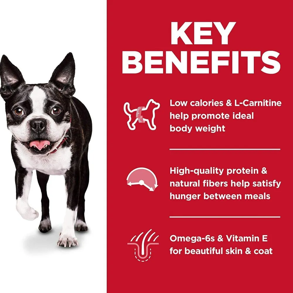 Outlet Adult Light Small Bites dog food Food Dry, Wet, Freeze Dried, Etc.