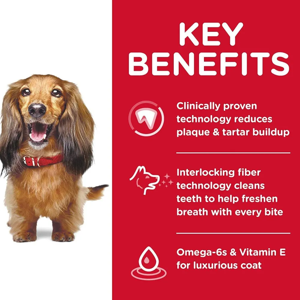 Online Adult Oral Care dog food Food Dry, Wet, Freeze Dried, Etc.