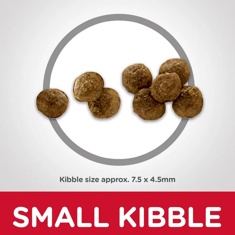 Hot Adult Small Paws Lamb Meal & Rice Recipe Dry Dog Food Food Dry, Wet, Freeze Dried, Etc.