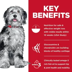 Discount Adult Perfect Weight & Joint Support Chicken Recipe Dry Dog Food Food Dry, Wet, Freeze Dried, Etc.
