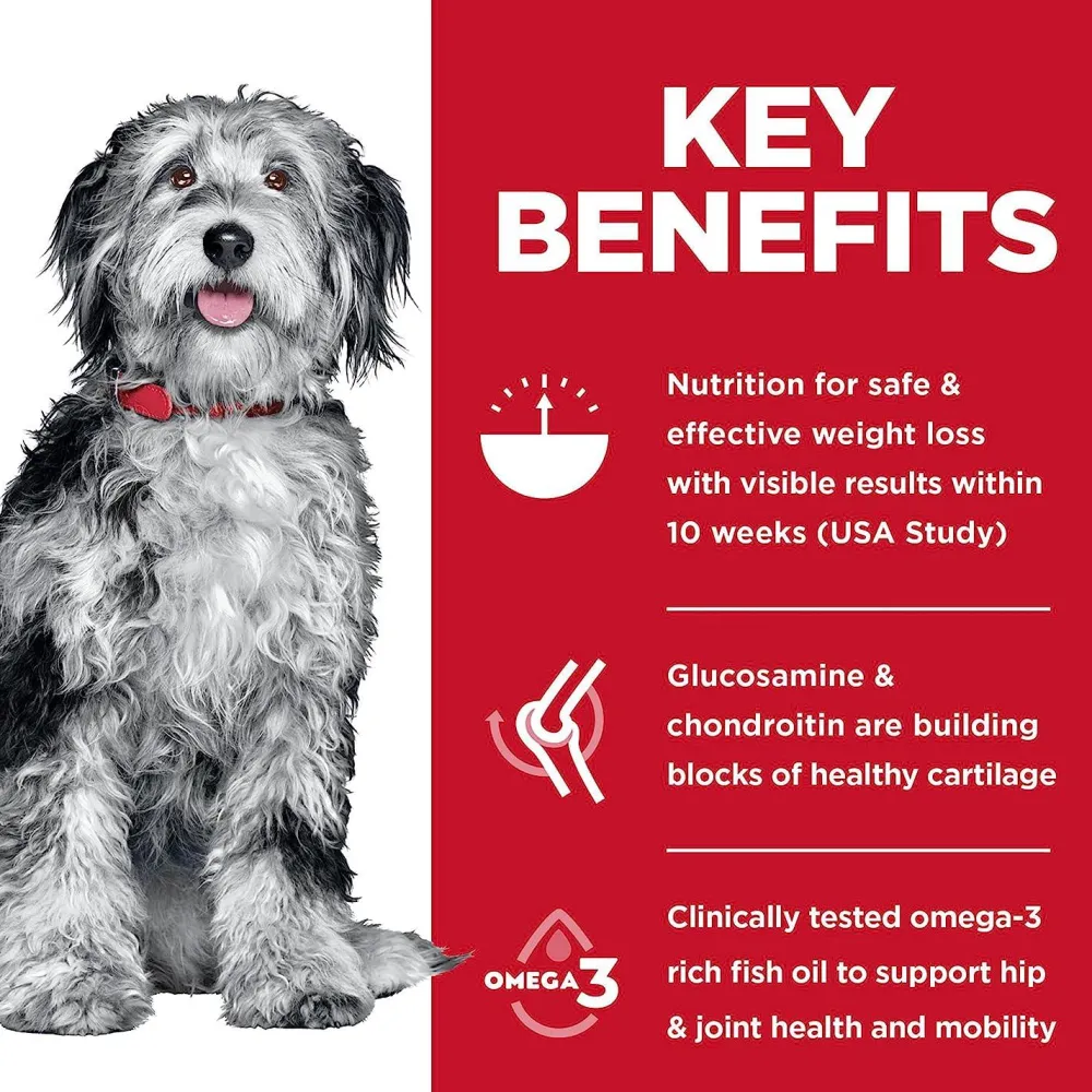 Discount Adult Perfect Weight & Joint Support Chicken Recipe Dry Dog Food Food Dry, Wet, Freeze Dried, Etc.