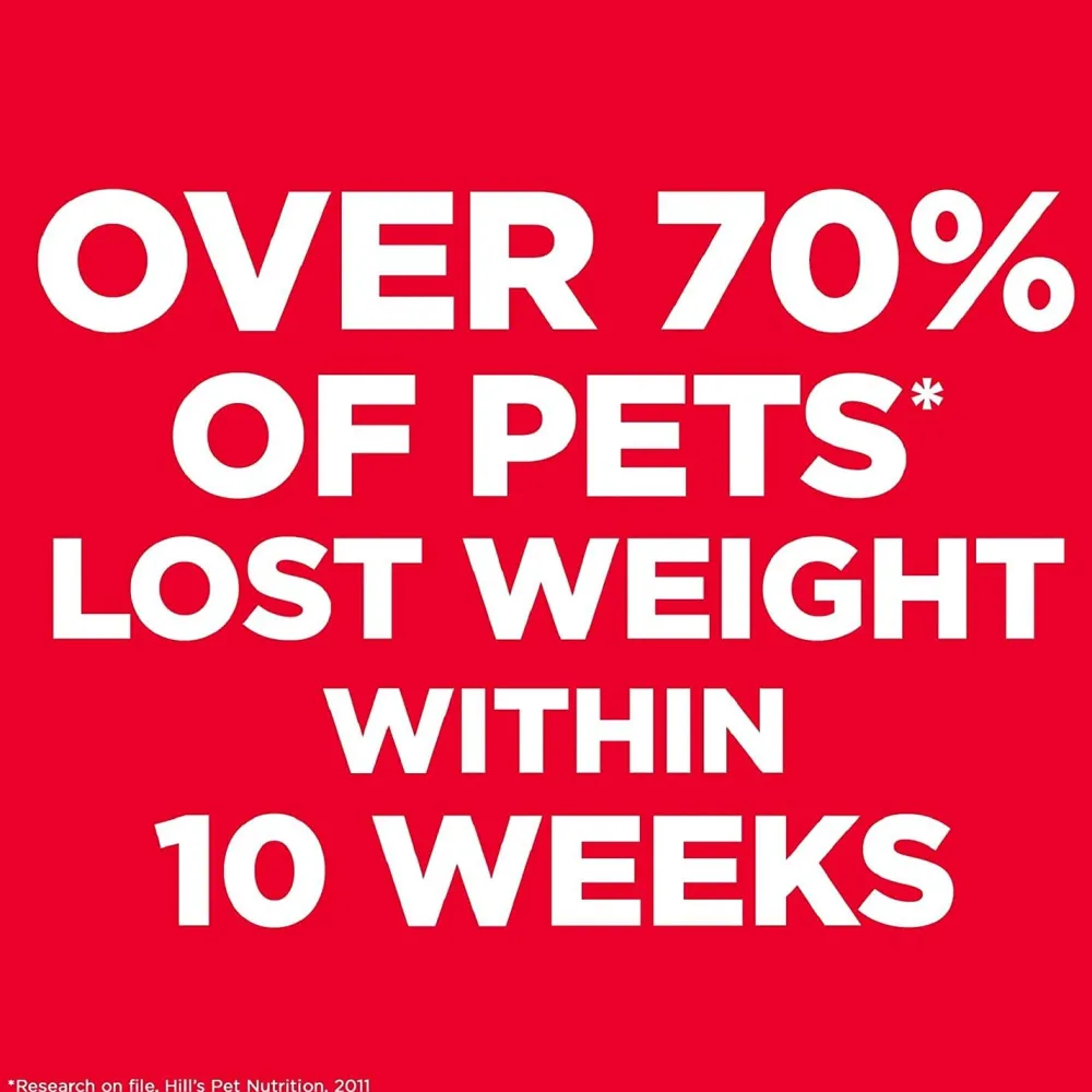 Fashion Adult Perfect Weight cat food Dry Food Dry Cat Food