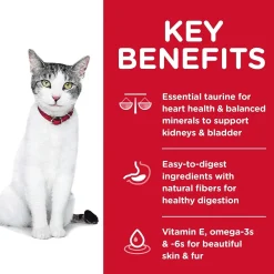 Hot Adult 11+ Chicken Recipe cat food Dry Food Dry Cat Food