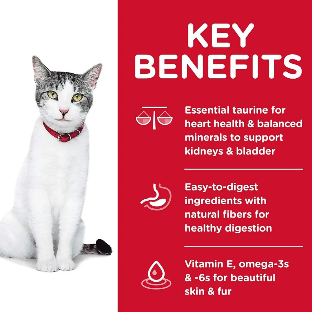 Hot Adult 11+ Chicken Recipe cat food Dry Food Dry Cat Food