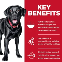 Outlet Adult Perfect Weight & Joint Support Large Breed Dry Dog Food Chicken Recipe Food Dry, Wet, Freeze Dried, Etc.