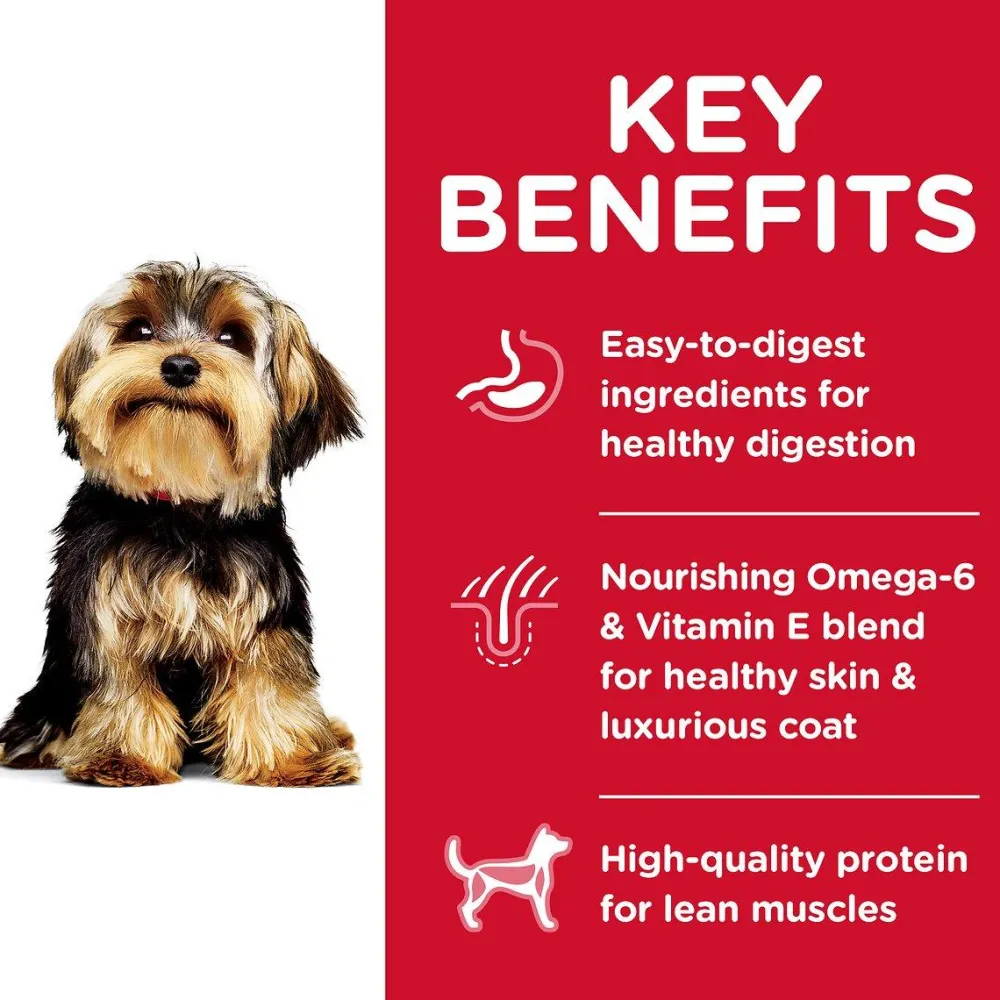 Hot Adult Small Paws Lamb Meal & Rice Recipe Dry Dog Food Food Dry, Wet, Freeze Dried, Etc.