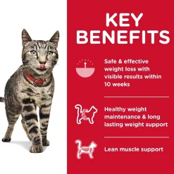 Fashion Adult Perfect Weight cat food Dry Food Dry Cat Food