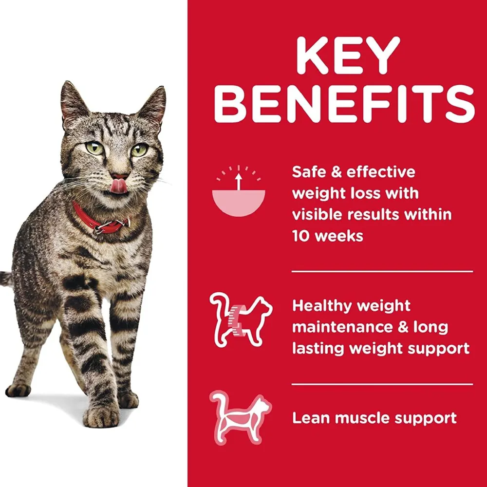 Fashion Adult Perfect Weight cat food Dry Food Dry Cat Food