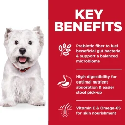 Clearance Adult Sensitive Stomach & Skin Small Bites Dry Dog Food, Chicken Recipe, 6.8 Kg Bag Food Dry, Wet, Freeze Dried, Etc.