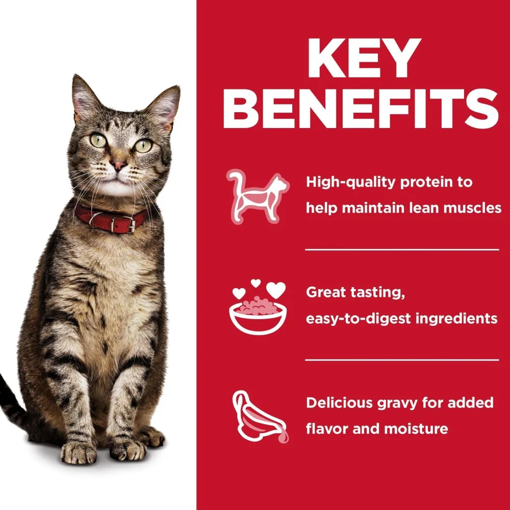 Outlet Adult Wet Cat Food Pouch Variety Pack, Chicken, Tuna, and Ocean Fish 79g pouch Wet Food Cans, Pouches, Tetra Paks, Etc.