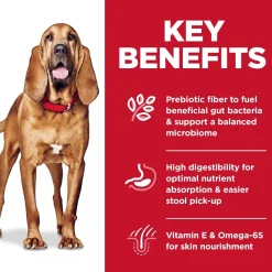 New Adult Sensitive Stomach & Skin Large Breed Dry Dog Food, Chicken Recipe Food Dry, Wet, Freeze Dried, Etc.