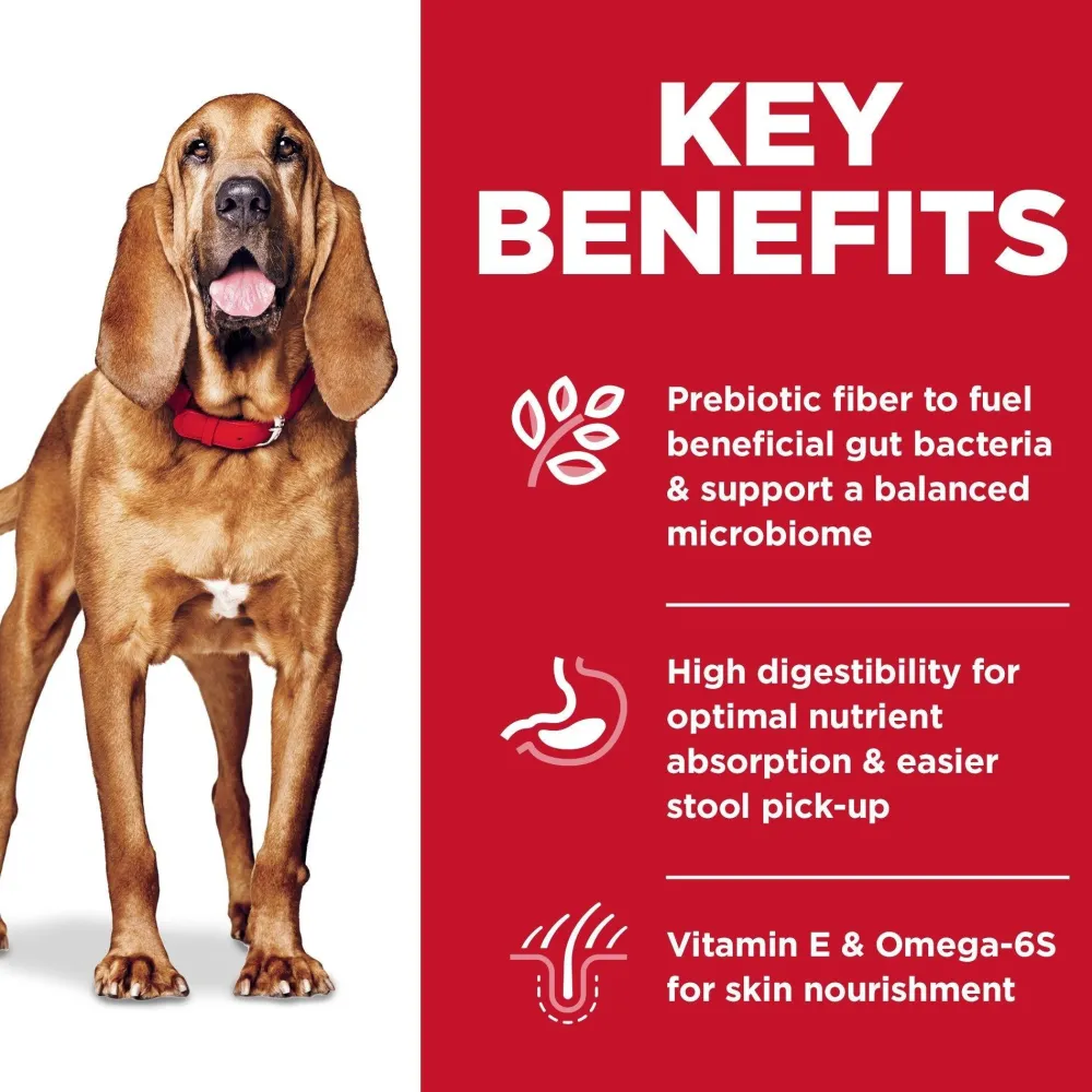 New Adult Sensitive Stomach & Skin Large Breed Dry Dog Food, Chicken Recipe Food Dry, Wet, Freeze Dried, Etc.