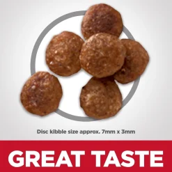 Clearance Adult Sensitive Stomach & Skin Small Bites Dry Dog Food, Chicken Recipe, 6.8 Kg Bag Food Dry, Wet, Freeze Dried, Etc.