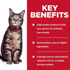 Sale Adult Wet Cat Food, Chicken, 79g pouch Wet Food Cans, Pouches, Tetra Paks, Etc.