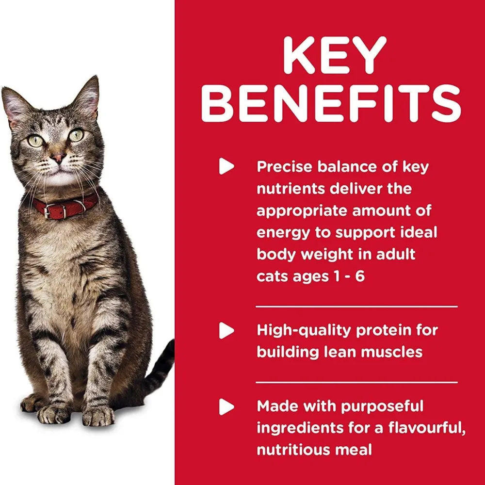 Best Canned Cat Food Tender Dinners Adult Chicken Wet Food Cans, Pouches, Tetra Paks, Etc.