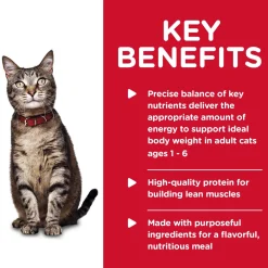 Online Canned Cat Food Adult Turkey & Liver Wet Food Cans, Pouches, Tetra Paks, Etc.