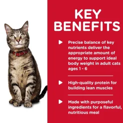 Discount Canned Cat Food Adult Ocean Fish Wet Food Cans, Pouches, Tetra Paks, Etc.
