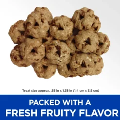 New Dog Treats Natural Fruity Apple & Oatmeal Treats Treats & Chews