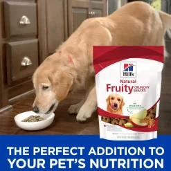 New Dog Treats Natural Fruity Apple & Oatmeal Treats Treats & Chews
