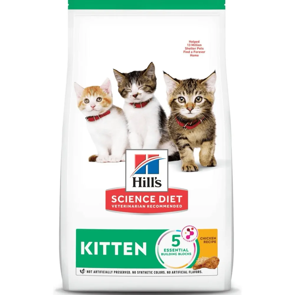 Clearance Dry Cat Food, Kitten, Chicken Recipe Dry Food Dry Cat Food