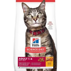 Online Dry Cat Food Adult Chicken Recipe Dry Food Dry Cat Food