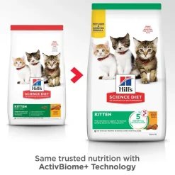 Clearance Dry Cat Food, Kitten, Chicken Recipe Dry Food Dry Cat Food
