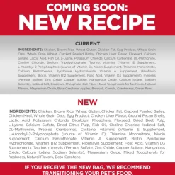 Clearance Dry Cat Food, Kitten, Chicken Recipe Dry Food Dry Cat Food